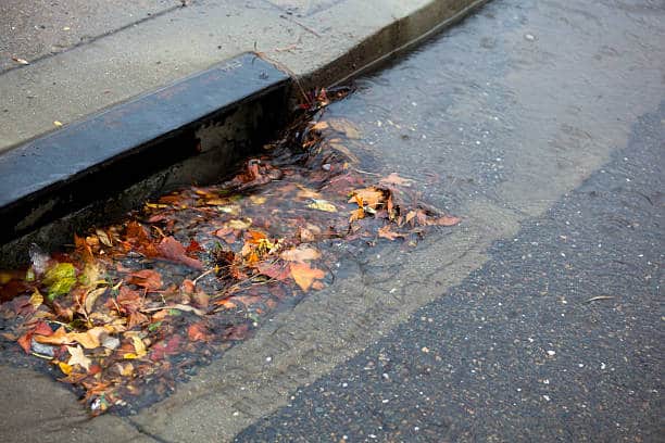 Storm drain partially blocked by fallen leaves on a rainy day.