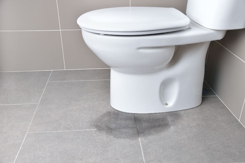 toilet repairs perth